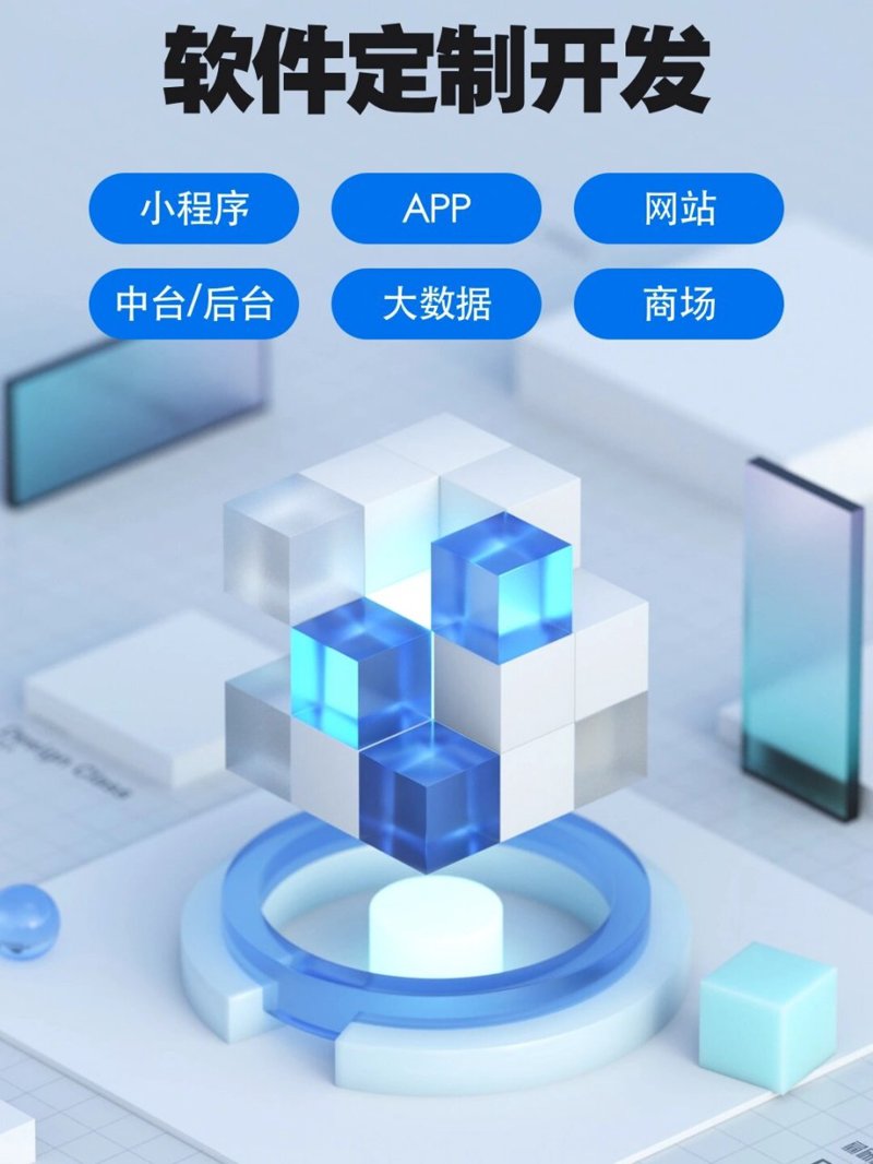 软件定制开发：企业需求的精准匹配