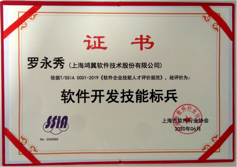 软件定制开发：构建企业个性化的智慧翅膀