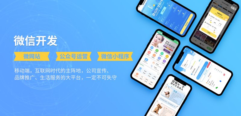 软件定制开发：企业需求的精准匹配